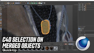C4D Selection On Merged Objects