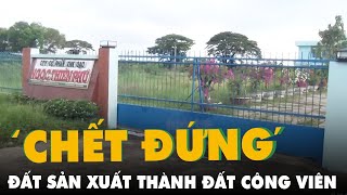 ‘Cái chết bất ngờ’ của nhà máy gạo đã đầu tư tiền tỉ do bị biến thành đất công viên