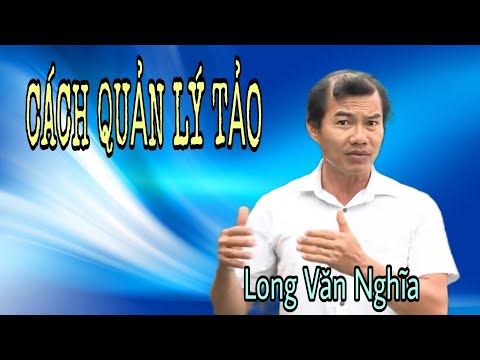 Video: Tảo sợi: các giai đoạn phát triển, sinh sản, cách loại ra khỏi bể nuôi?