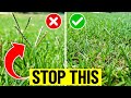 Grass Seed Heads are Ugly - How to Fix an Ugly Lawn Growing Too Fast