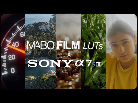 MABO FILM LUTs x SONY A7SIII