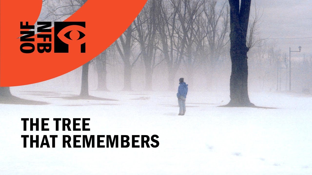 Documentary backdrop image for The Tree that Remembers (2025)