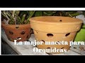 Maceta PERFECTA para mejor Crecimiento y Floracion  Orquideas