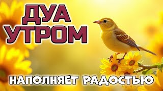 картинка: ДУА, КОТОРЫЕ НАПОЛНЯТ ТЕБЯ СЧАСТЬЕМ! 😊✨