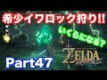 【ゼルダの伝説 BREATH OF THE WILD】 希少イワロックだけでいくら稼げる?衝撃の額に!! 実況 Part47