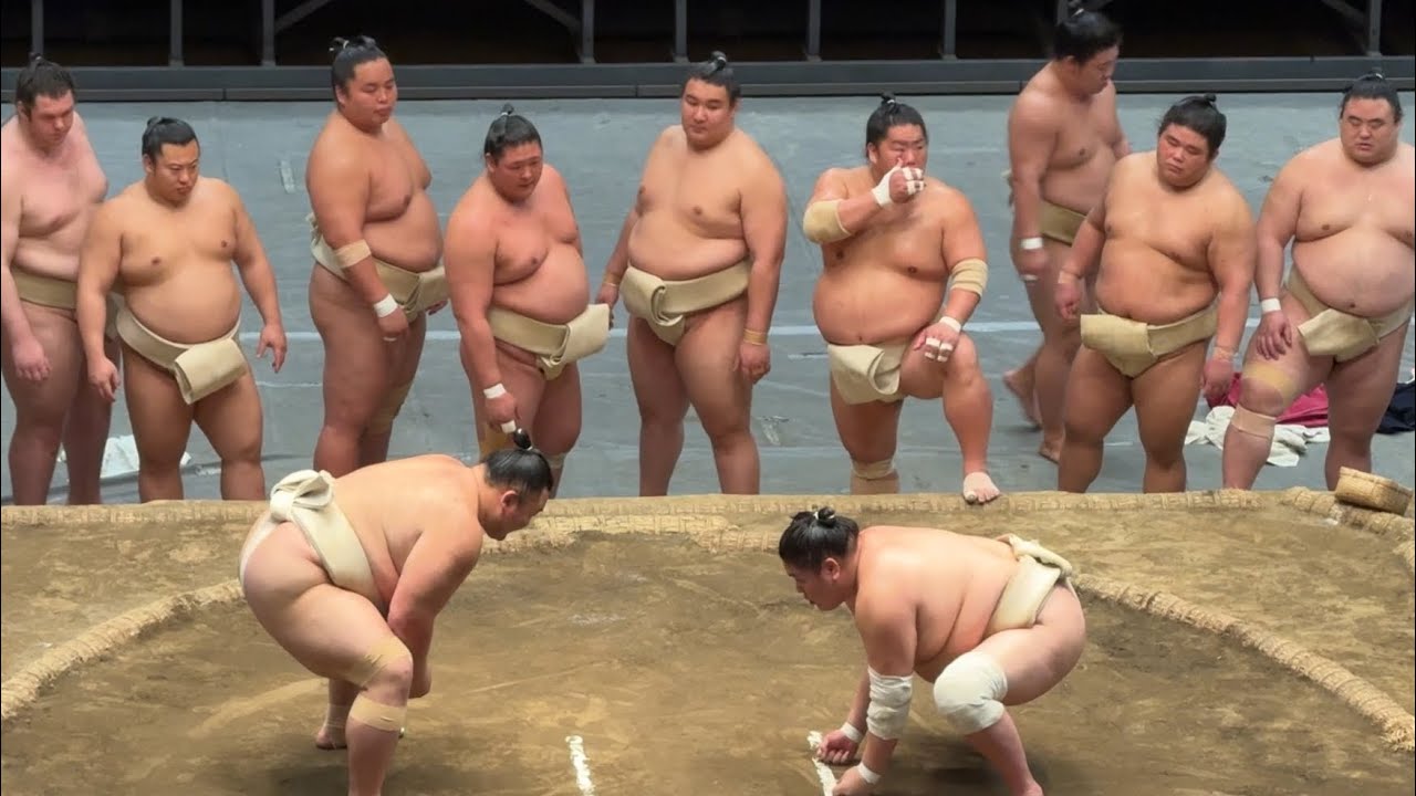 速報❗️稽古総見 朝乃山 藤ノ川 錦富士 一山本 宇良【横綱審議委員会