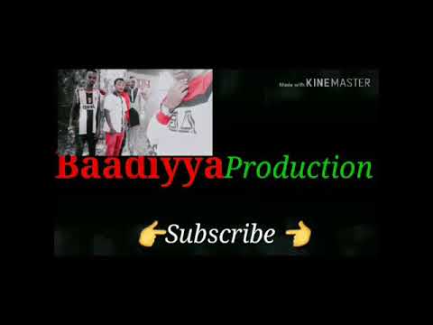 Agaarsisaa Dandii Ummaata Baadiyyaa Aanaa Bookee Arraadda Mayyuu