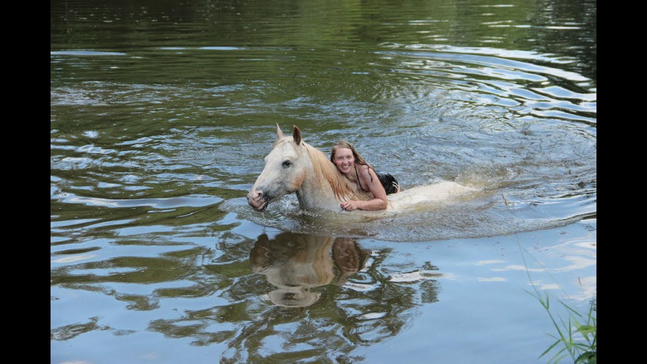 Schwimmpferd YouTube Schwimmpferd YouTube
