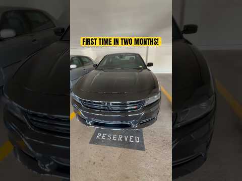 FORGOT WHAT IT S LIKE Car