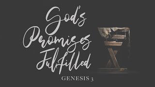 The Promise of Justice (Genesis 3:1-15)