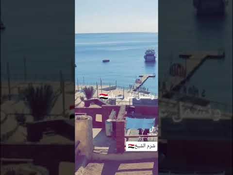 ونشمل ع سينا بس السيسي يسمح لينا البصيلي