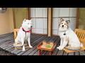 我が家の宝物が形になった日!