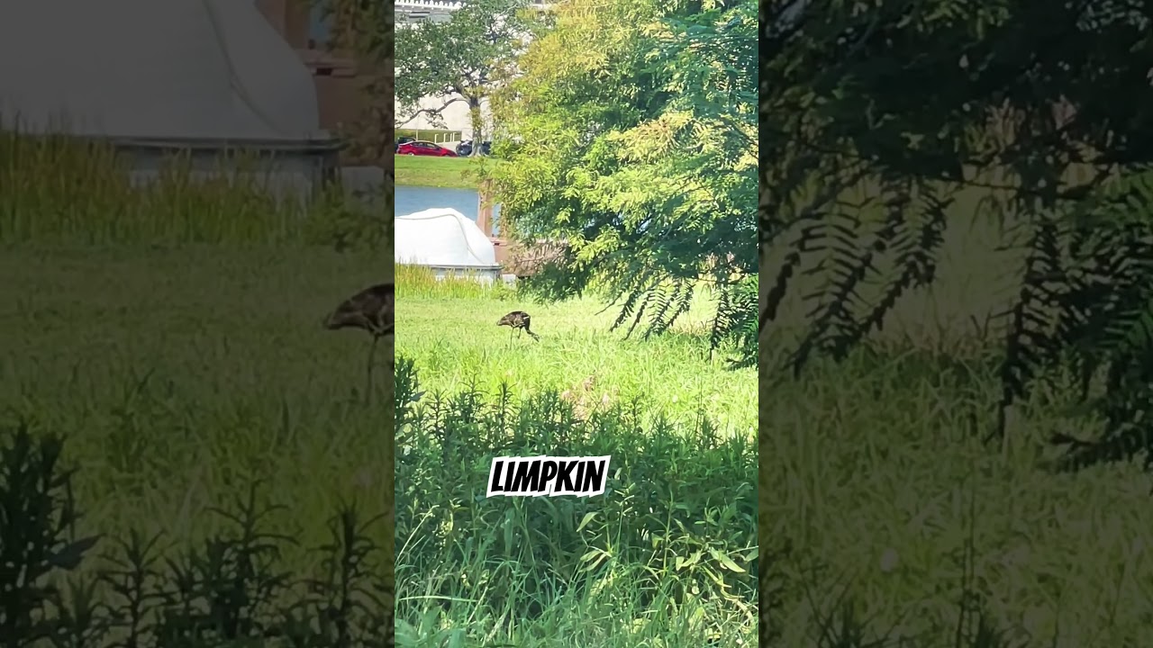 Woah 😳 that’s loud! 