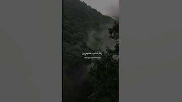 آيات القرآن الكريم ماتيسر من القرآن #love #quran #قران_كريم #متابعه #dubai #reels #edit #تذكار #love