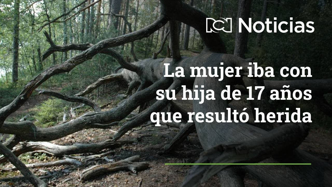 Mujer murió luego de que le cayera encima una rama de árbol en ...