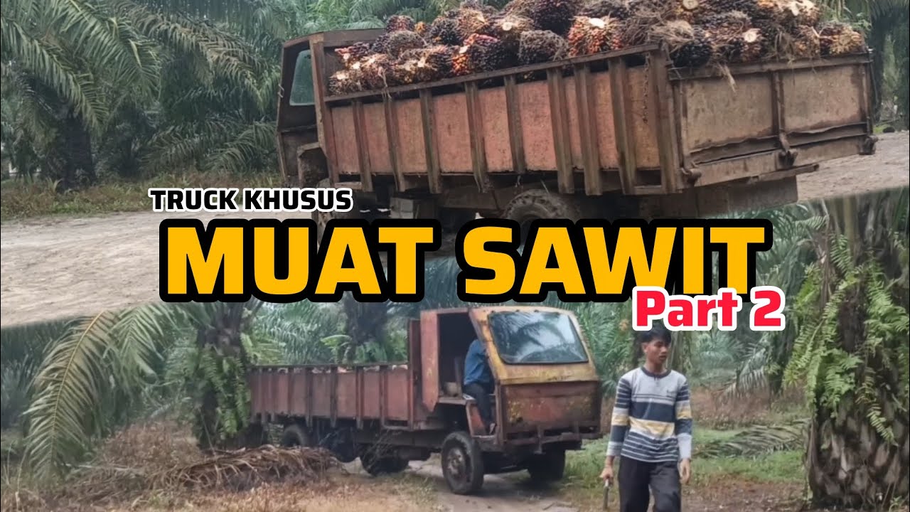 Muat sawit dengan truck khusus part 2