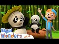 🐼 Panda 🐼 دب البندا | بليبي بالعربي | كرتون مغامرات بليبي