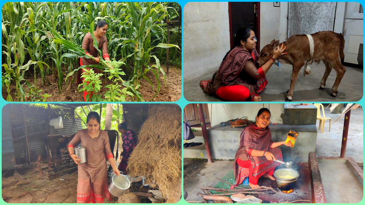 💁‍♀️பையன் பொறந்துருக்கா🥰பாக்கப்போறோம் 🤩🗓️Oct25,2025 #home#vlog#tamil