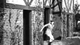 Among Those Present Best Bits) starring Harold Lloyd, 1921