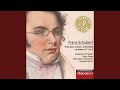 Miniature de la vidéo de la chanson Trio Avec Piano Nº 2 En Mi Bémol Mineur, Op. 100, D. 929 : I. Allegro