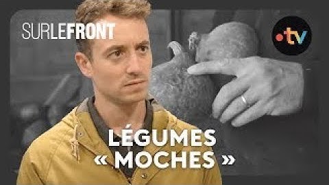 Légumes : ce gaspillage dû aux normes imposées aux agriculteurs ! - Sur le front avec Hugo Clément