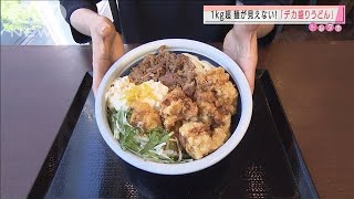 麺が見えない！丸亀製麺“1kg超”デカ盛りうどん(2020年10月20日)