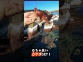 穴釣りで巨大カサゴが釣れまして…#shorts #穴釣り