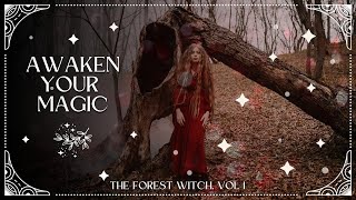 Awaken Your Inner Magic: Journey with the Enigmatic Forest Witch