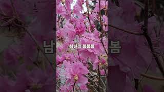 남산둘레길 영상