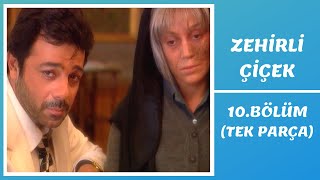 Zehirli Çiçek 10. Bölüm