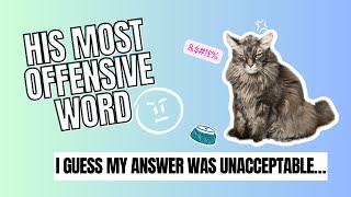 Frustrated Talking Cat Creates A New “Bad Word” | RoscoeSqueaks