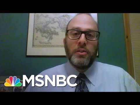 Legal Scholar: Trump Lawyers Cherry-Picked Points From My Writing | Rachel Maddow | MSNBC