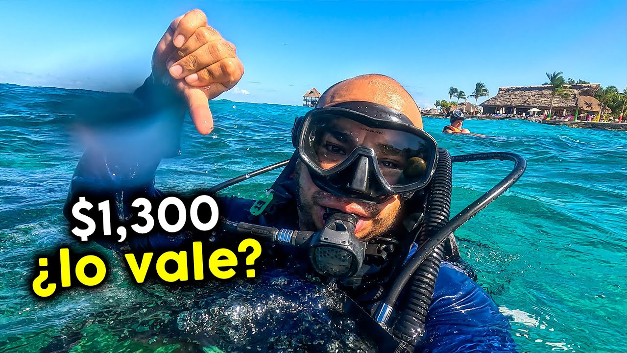 Buceo BARATO en Cozumel sin experiencia 🤿 parque Chankanaab