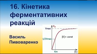 16. Кінетика ферментативного каталізу. Інгібітори та активатори ферментів. Алостеричні взаємодії