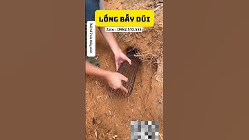 Lồng bẫy dúi thiết kế 2 cửa thông minh