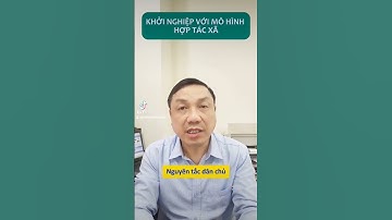 Hợp tác xã là gì? Tại sao nó quan trọng trong sản xuất kinh doanh?