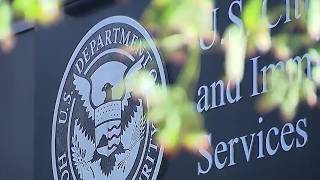New report finds lowest number of immigration application processed in years | NBC 7 San Diego