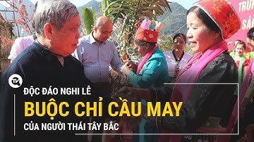 Độc đáo nghi lễ buộc chỉ cầu may của người Thái Tây Bắc | Truyền hình Quốc Hội Việt Nam