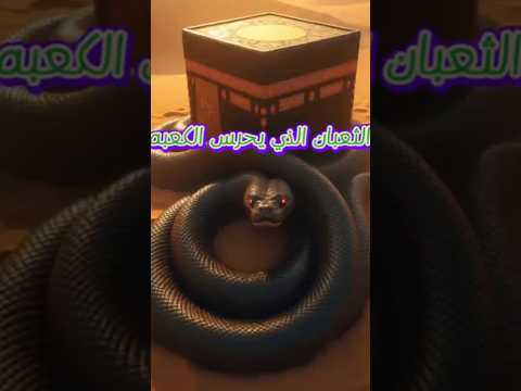 سر الثعبان الذي حرس الكعبة حكاية في دقيقة Shortvideo قصة مؤثرة اكسبلور