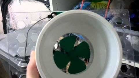 Oscillating water column