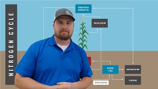 Nitrogen Stabilizers
