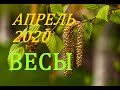 ВЕСЫ. АПРЕЛЬ 2020г. ПРОГНОЗ. САМОЕ ВАЖНОЕ ДЛЯ ВАС !!!