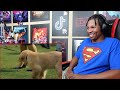 Middle of video