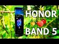 20 причин купить Honor Band 5 II Или нет ? Совсем не убийца.