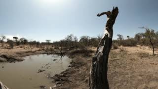 VR Wildlife Safari trip - Photos of Africa @livestreamnature @PhotosofAfrica @360ImageFilm.