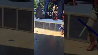 Kid Beats Up Darth Vader at Disneyland WATCH TIL THE END #shorts #disneyshorts #youtubeshorts