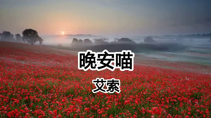 晚安喵 - 艾索 - 早安喵 午安喵 晚安喵 喵 喵 【2019抖音热门歌曲】 - 天天要闻