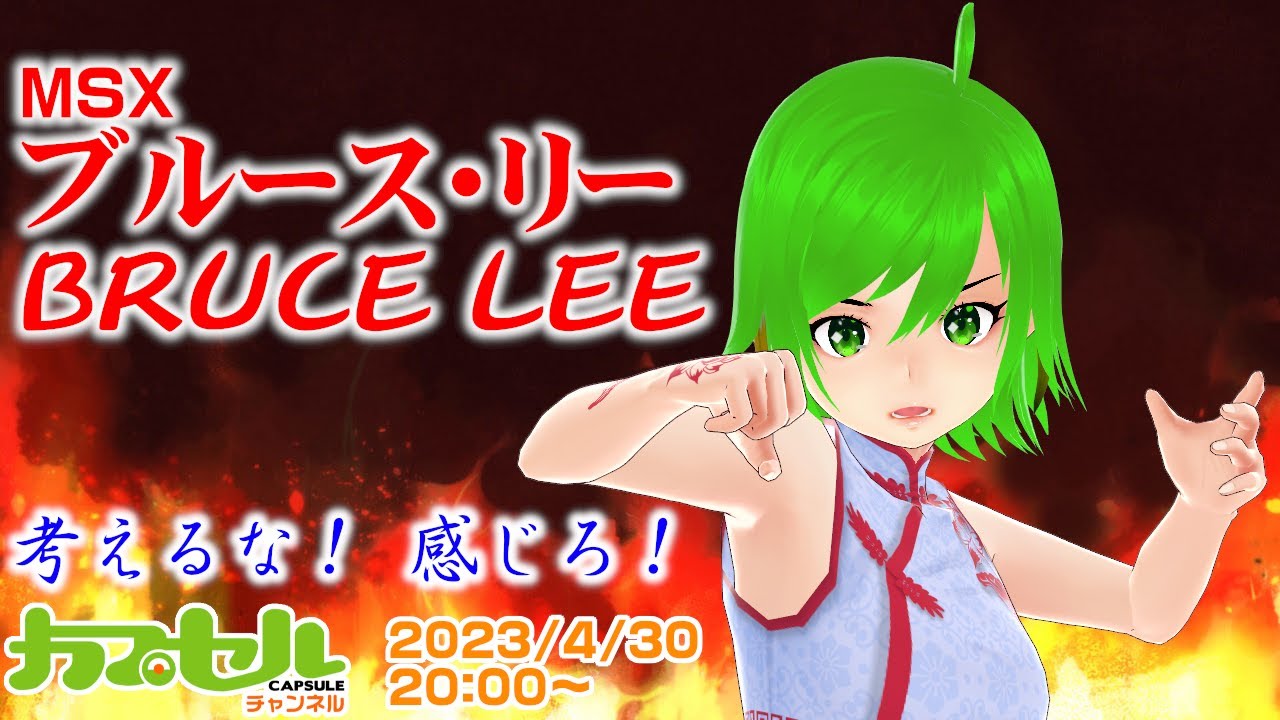枠取り直し】考えるな！ 感じろ！ MSX『ブルース・リー（BRUCE LEE