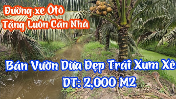 TẬP 4401:Bán Vườn Dừa Đẹp MÊ Ly (2,000M2) Đường xe Ôtô,ẤP Tây 2,Xã Long Định 