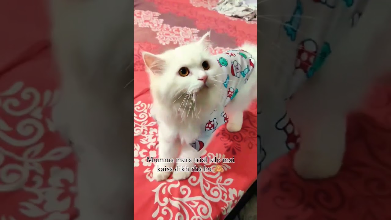 Get ready with olaf 😍😎